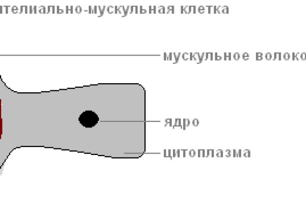 2kr kraken