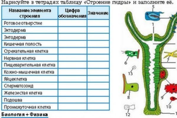 Кракен store
