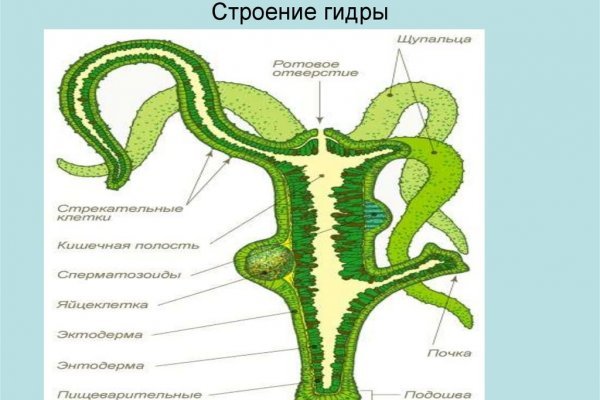 Кракен площадка